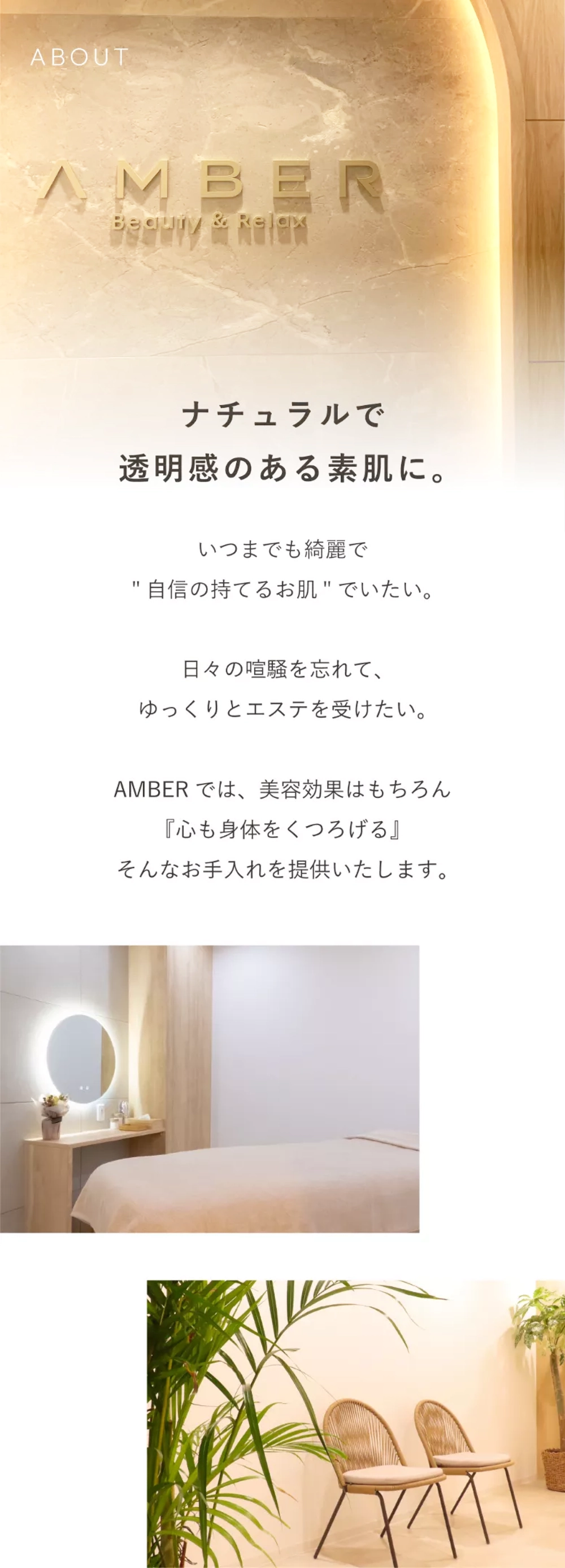 AMBERについて